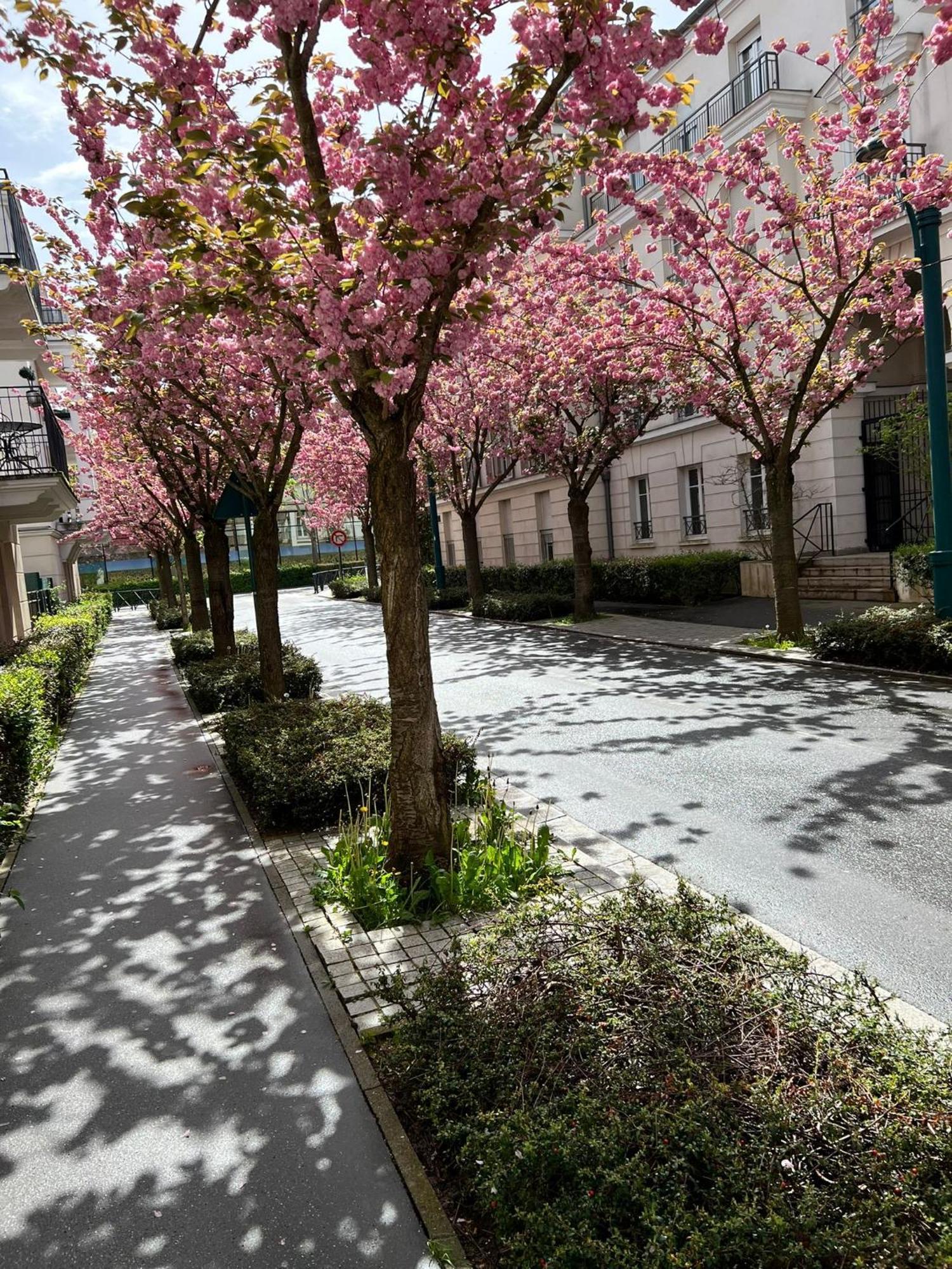 Sweet Appartement Disneyland Paris Parking 300M Station Val D'Europe Chessy  Exteriör bild